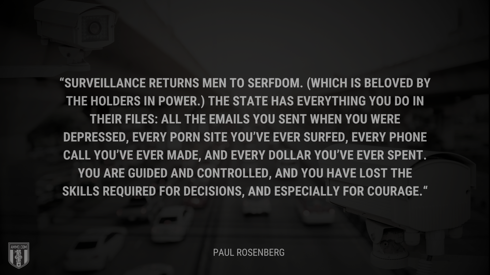 &ldquo;Surveillance returns men to serfdom. (Which is beloved by the holders in power.) The state has everything you do in their files: All the emails you sent when you were depressed, every porn site you’ve ever surfed, every phone call you’ve ever made, and every dollar you’ve ever spent. You are guided and controlled, and you have lost the skills required for decisions, and especially for courage.&rdquo; - Paul Rosenberg