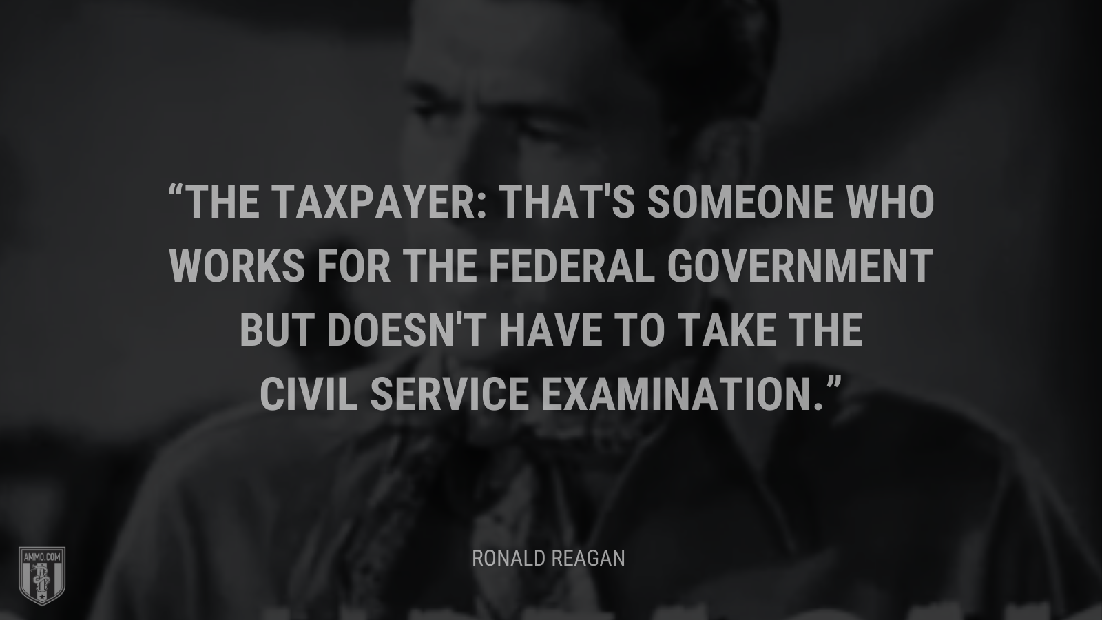 &ldquo;The taxpayer: That's someone who works for the federal government but doesn't have to take the civil service examination.&rdquo; - Ronald Reagan