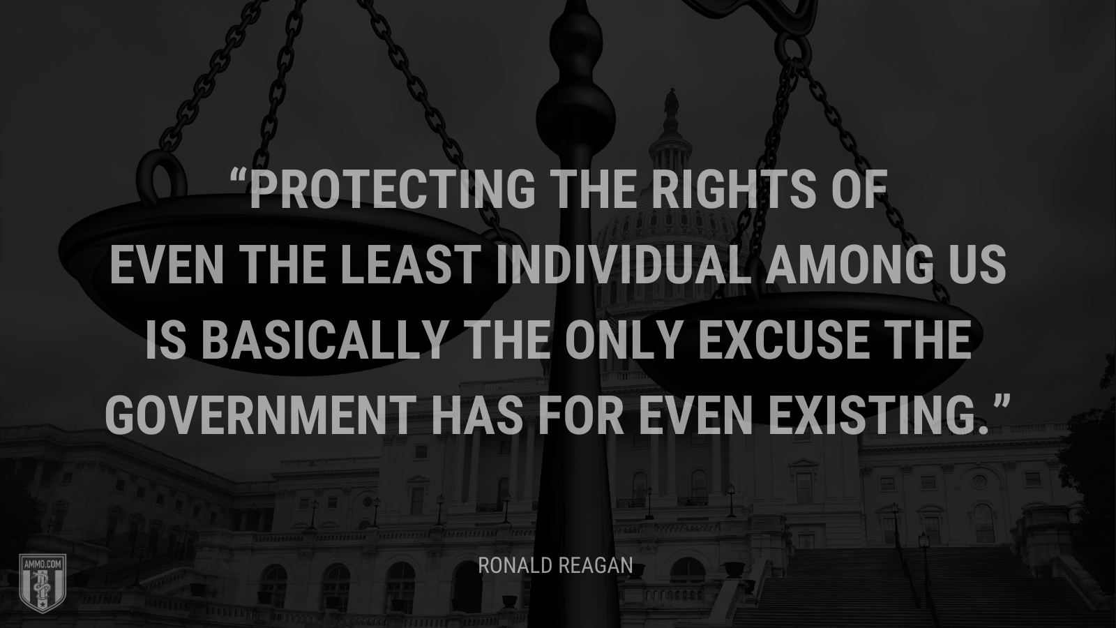 &ldquo;Protecting the rights of even the least individual among us is basically the only excuse the government has for even existing.&rdquo; - Ronald Reagan
