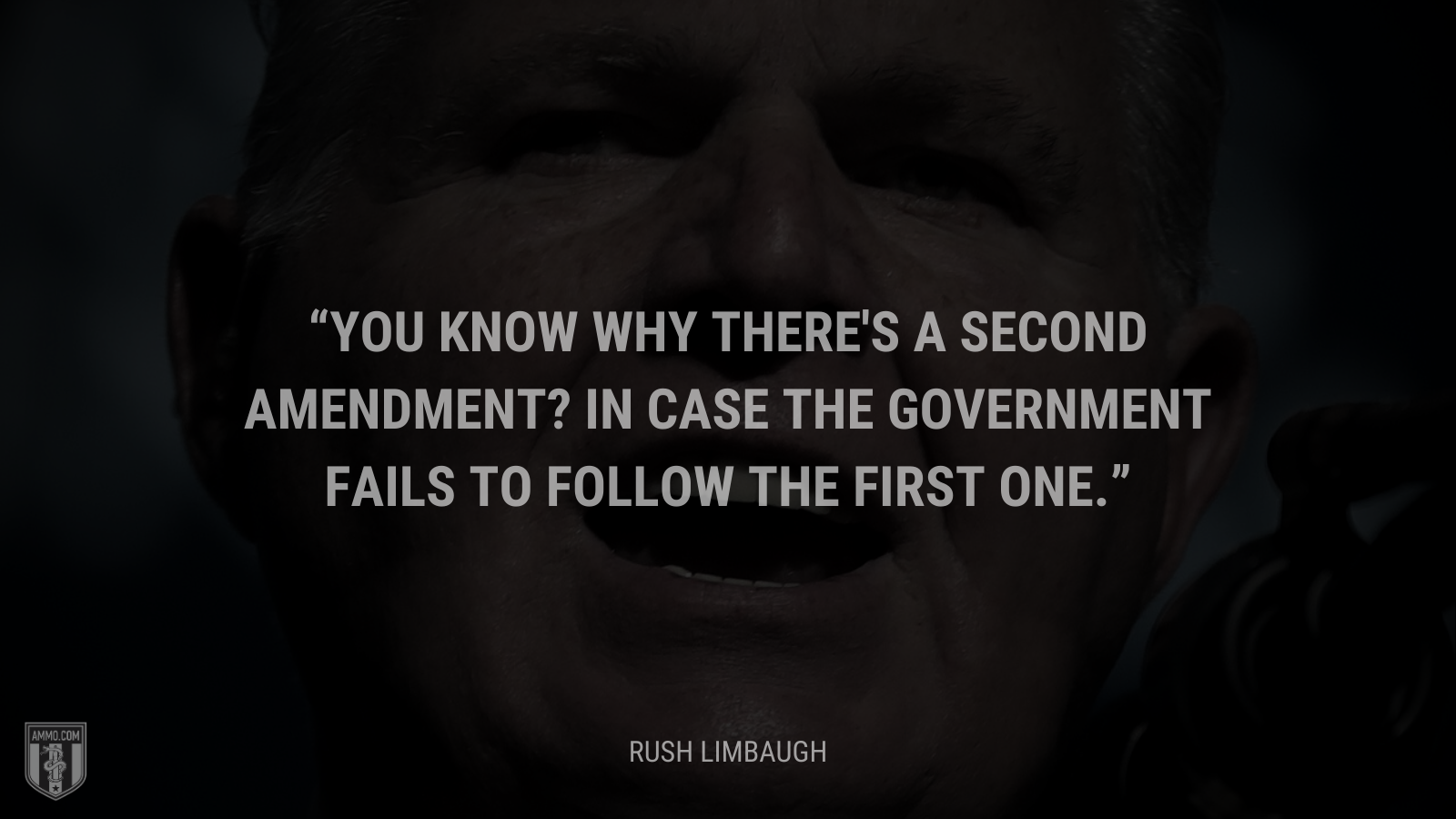 &ldquo;You know why there's a Second Amendment? In case the government fails to follow the first one.&rdquo; - Rush Limbaugh