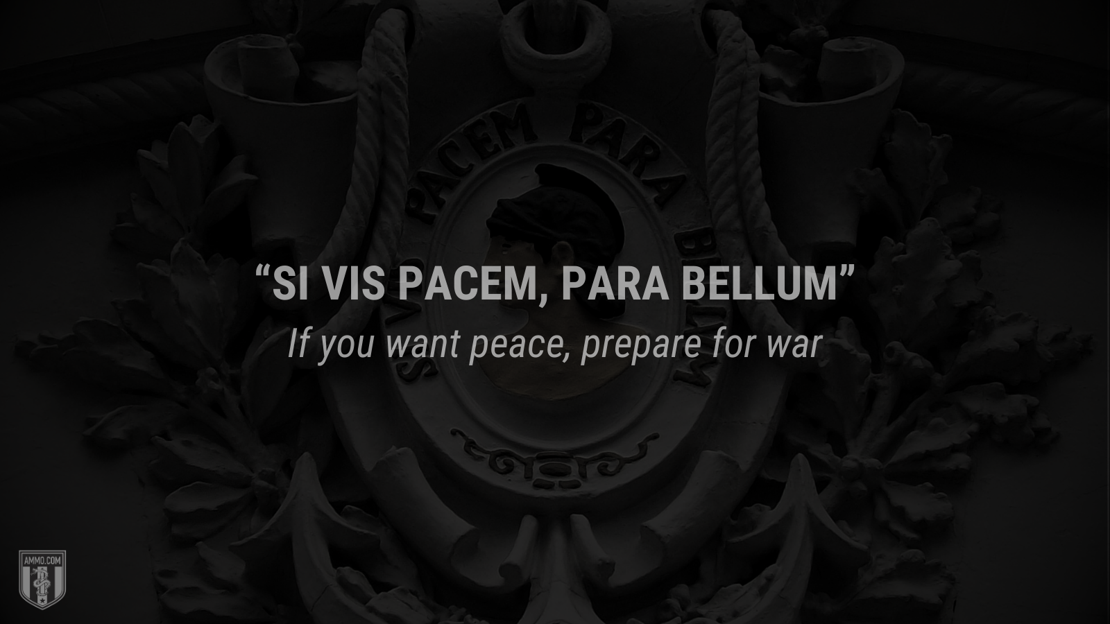 &ldquo;Si vis pacem, para bellum&rdquo; - If you want peace, prepare for war