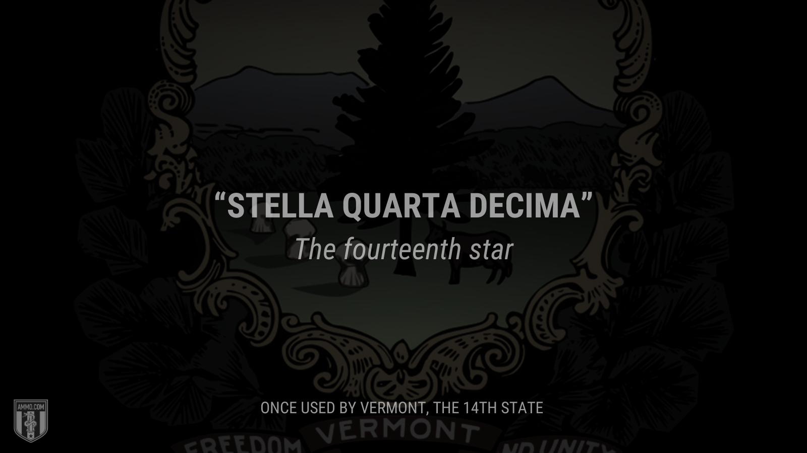 &ldquo;Stella quarta decima&rdquo; - The fourteenth star