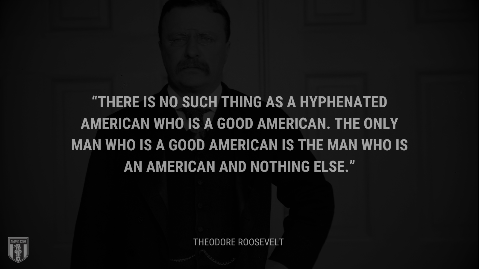 &ldquo;There is no such thing as a hyphenated American who is a good American. The only man who is a good American is the man who is an American and nothing else.&rdquo; - Theodore Roosevelt