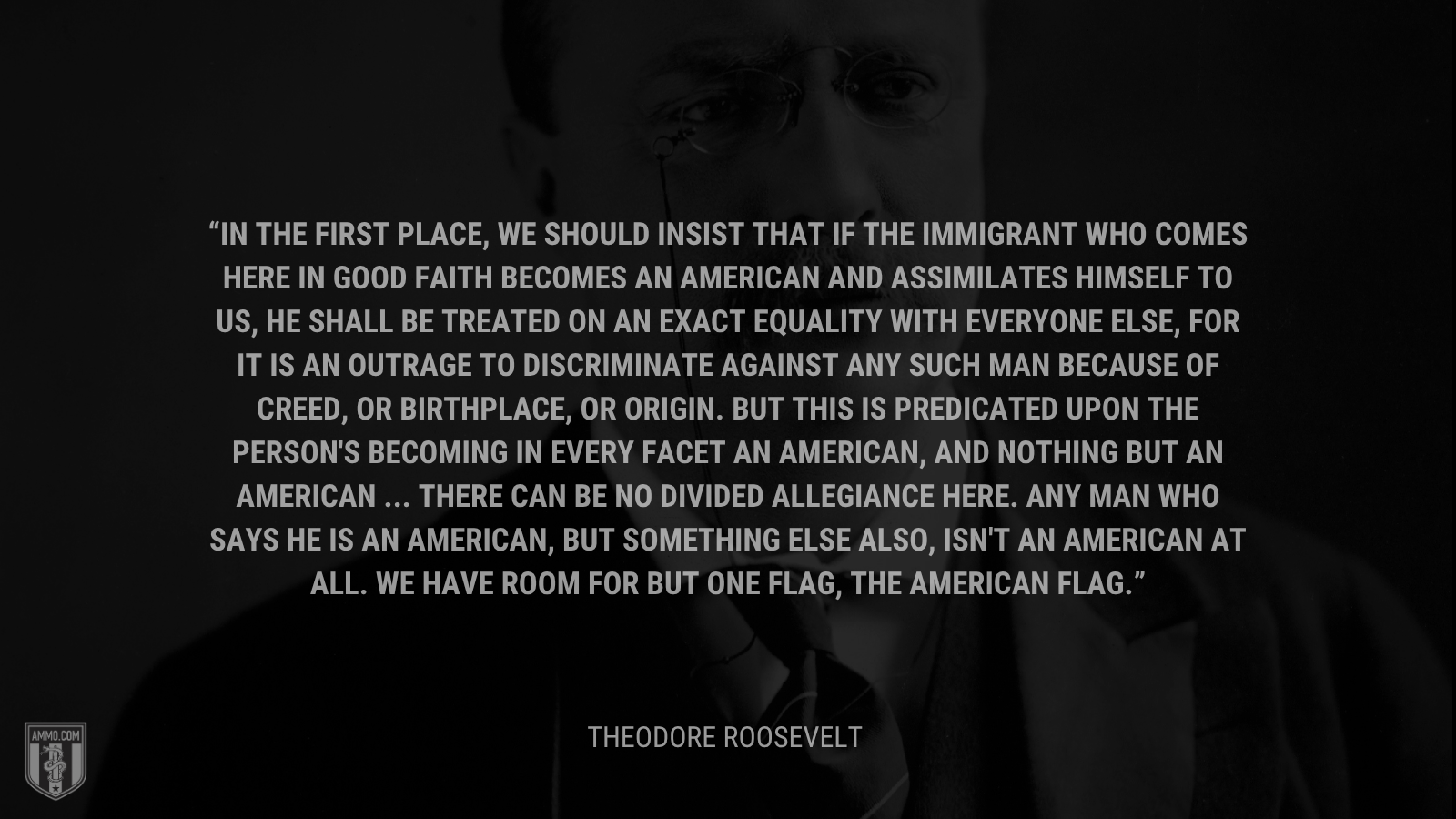 &ldquo;In the first place, we should insist that if the immigrant who comes here in good faith becomes an American and assimilates himself to us, he shall be treated on an exact equality with everyone else, for it is an outrage to discriminate against any such man because of creed, or birthplace, or origin. But this is predicated upon the person's becoming in every facet an American, and nothing but an American ... There can be no divided allegiance here. Any man who says he is an American, but something else also, isn't an American at all. We have room for but one flag, the American flag.&rdquo; - Theodore Roosevelt