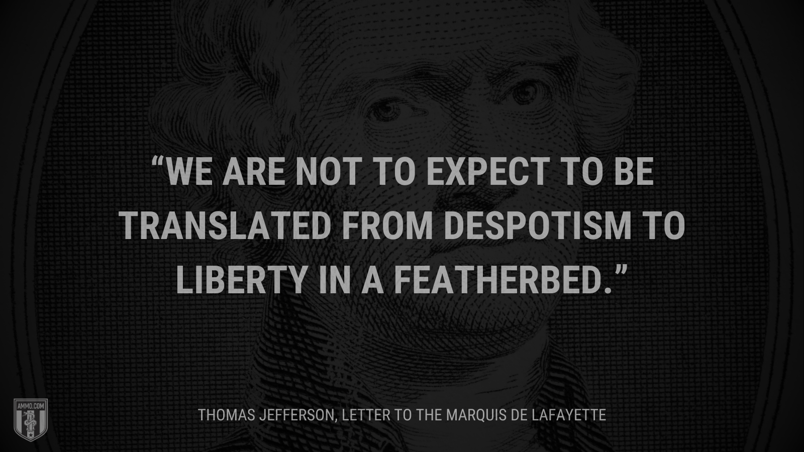 &ldquo;We are not to expect to be translated from despotism to liberty in a featherbed.&rdquo; - Thomas Jefferson