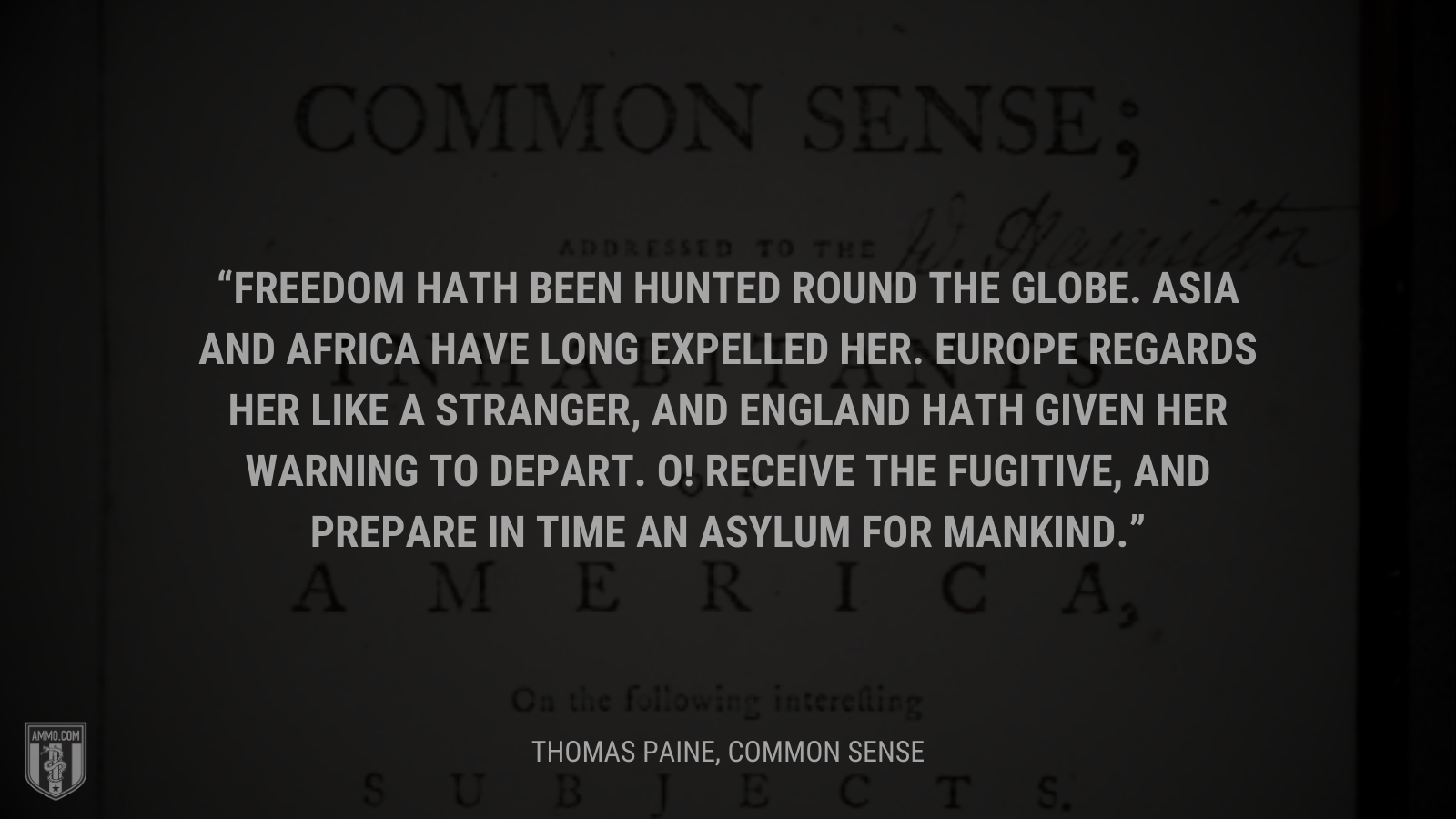 &ldquo;Freedom hath been hunted round the globe. Asia and Africa have long expelled her. Europe regards her like a stranger, and England hath given her warning to depart. O! Receive the fugitive, and prepare in time an asylum for mankind.&rdquo; - Thomas Paine