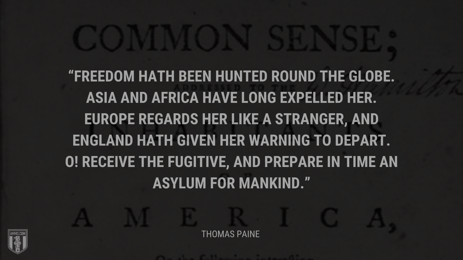 &ldquo;Freedom hath been hunted round the globe. Asia and Africa have long expelled her. Europe regards her like a stranger, and England hath given her warning to depart. O! Receive the fugitive, and prepare in time an asylum for mankind.&rdquo; - Thomas Paine