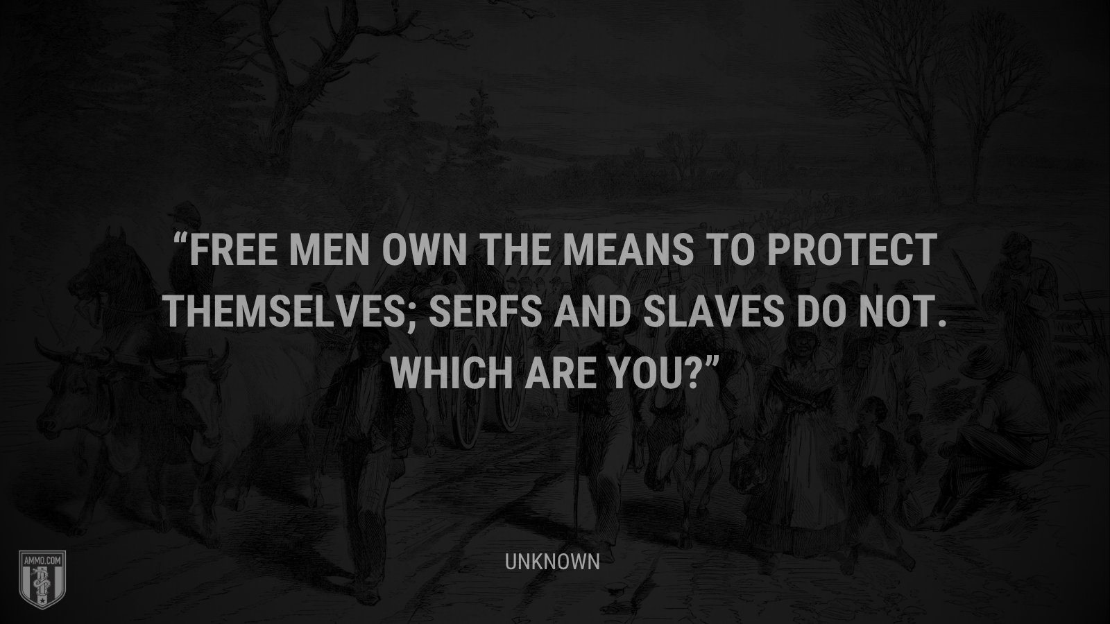 &ldquo;Free men own the means to protect themselves; serfs and slaves do not. Which are you?&rdquo; - Unknown