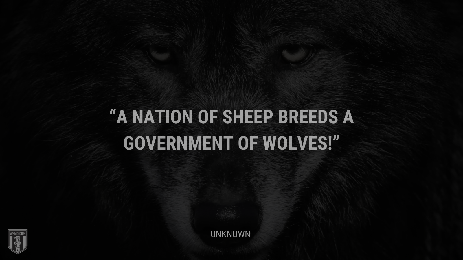 &ldquo;A nation of sheep breeds a government of wolves! - Unknown