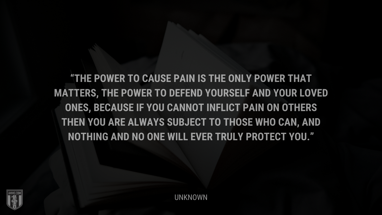 &ldquo;The power to cause pain is the only power that matters, the power to defend yourself and your loved ones, because if you cannot inflict pain on others then you are always subject to those who can, and nothing and no one will ever truly protect you.&rdquo; - Unknown