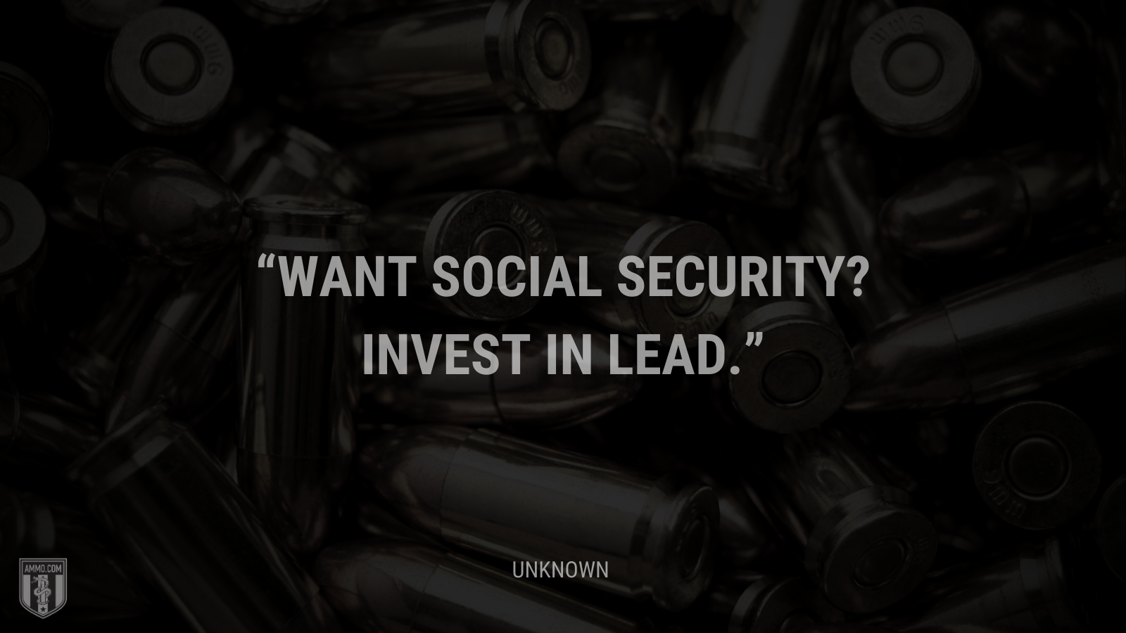 &ldquo;Want social security? Invest in lead.&rdquo; - Unknown