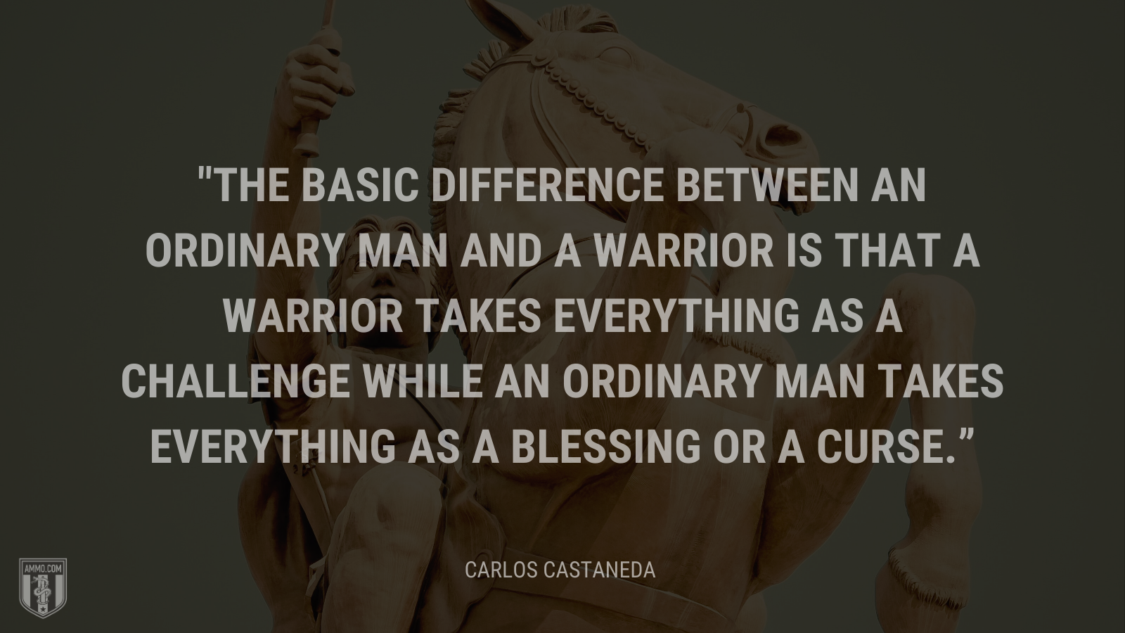 &ldquo;The basic difference between an ordinary man and a warrior is that a warrior takes everything as a challenge while an ordinary man takes everything as a blessing or a curse.&rdquo; - Carlos Castaneda