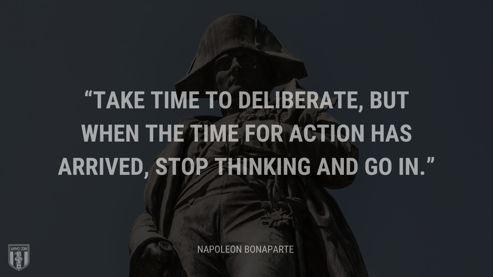 &ldquo;Take time to deliberate, but when the time for action has arrived, stop thinking and go in.&rdquo; - Napoleon Bonaparte