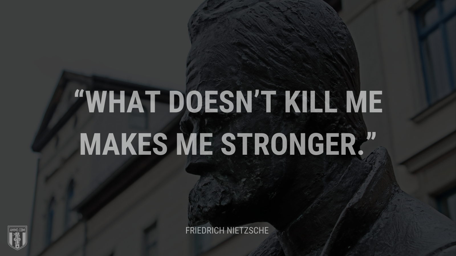 &ldquo;What doesn't kill me makes me stronger.&rdquo; - Friedrich Nietzsche