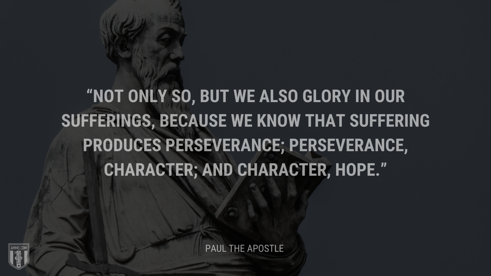 &ldquo;Not only so, but we also glory in our sufferings, because we know that suffering produces perseverance; perseverance, character; and character, hope.&rdquo; - Paul the Apostle
