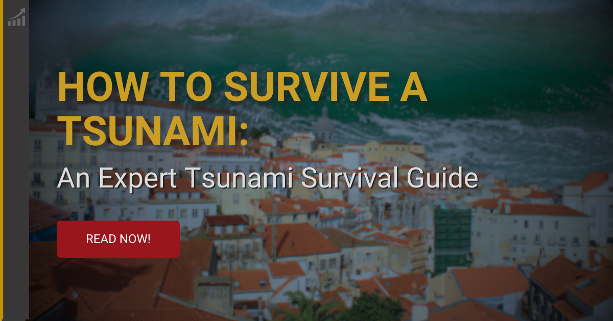 Tsunami Preparedness: A Seismic Wave Survival Guide