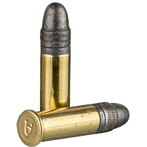 Bulk 22 Ammo icon