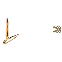 Federal Premium 30-06 Ammo icon
