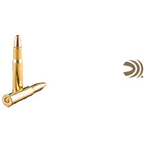 Federal 30-30 Ammo icon
