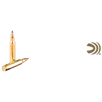Federal 300 Win Mag Ammo icon