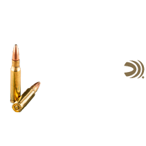 Federal 308 Win Ammo icon