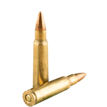 Bulk 7.62x39 Ammo icon