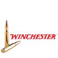 Winchester 30-06 Ammo icon
