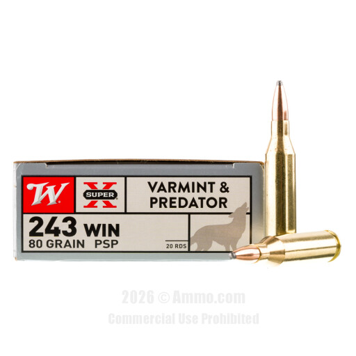 Super-X Winchester JSP Ammo
