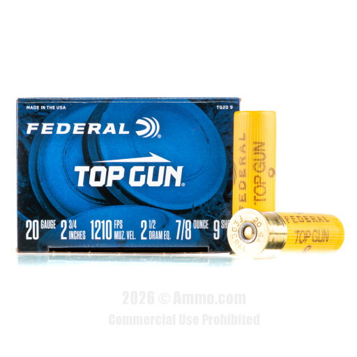 Federal 20 Gauge Ammo - 25 Rounds of 7/8 oz. #9 Shot Ammunition