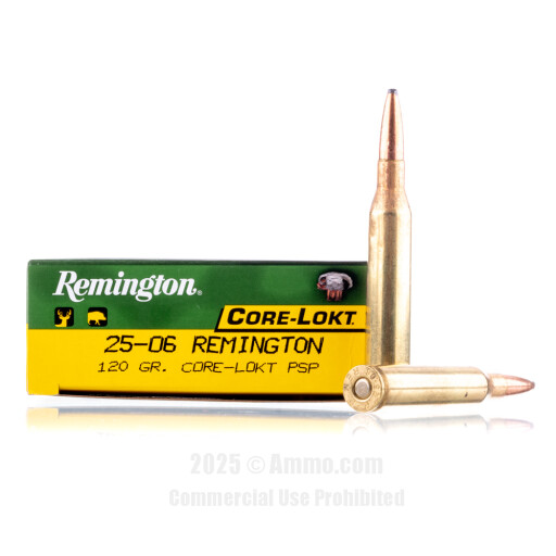 Ammo PSP Ammo