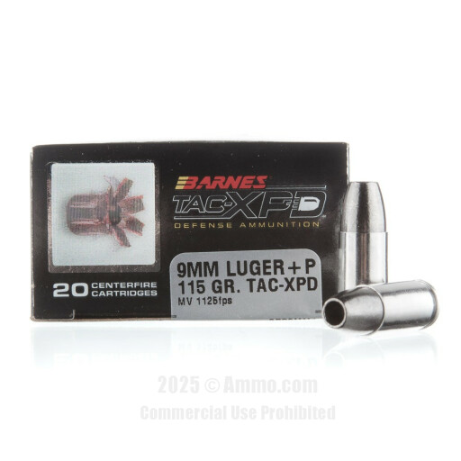 Barnes HP Ammo