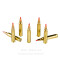 Image of Hornady 204 Ruger Ammo - 20 Rounds of 32 Grain V-MAX Ammunition