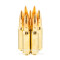 Image of Sellier and Bellot 308 Win Ammo - 20 Rounds of 147 Grain FMJ Ammunition