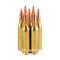 Image of Hornady American Whitetail 243 Win Ammo - 200 Rounds of 100 Grain InterLock SP Ammunition