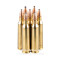 Image of Federal 22-250 Rem Ammo - 20 Rounds of 55 Grain SP Ammunition