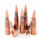 Image of Wolf Military Classic 7.62x54r Ammo - 20 Rounds of 148 Grain FMJ Ammunition