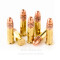 Image of Federal 22 LR Ammo - 50 Rounds of 40 Grain CPRN Ammunition