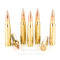 Image of Sellier and Bellot 308 Win Ammo - 20 Rounds of 180 Grain FMJ Ammunition