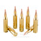 Image of Black Hills Gold 243 Win Ammo - 20 Rounds of 95 Grain Polymer Tipped Ammunition