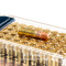 Image of CCI 22 LR Ammo - 50 Rounds of 40 Grain CPHP Ammunition