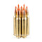 Image of Hornady 223 Rem Ammo - 500 Rounds of 55 Grain V-MAX Ammunition