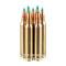 Image of Sellier and Bellot 204 Ruger Ammo - 20 Rounds of 32 Grain PTS Ammunition