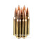 Image of Prvi Partizan 5.56x45 Ammo - 20 Rounds of 55 Grain FMJBT M193 Ammunition (Label Says 223 Rem; Ammo Is Confirmed 5.56 M193)