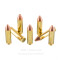 Image of Remington UMC 450 Bushmaster Ammo - 20 Rounds of 260 Grain FMJ Ammunition
