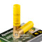 Image of Remington 20 Gauge Ammo - 5 Rounds of 260 Grain Sabot Slug Ammunition