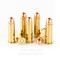 Image of Federal 38 Special Ammo - 50 Rounds of 130 Grain FMJ Ammunition