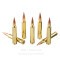 Image of Hornady Superformance 300 Winchester Magnum Ammo - 20 Rounds of 165 Grain CX Ammunition