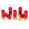 Image of Winchester Fast Dove High Brass 12 Gauge Ammo - 250 Rounds of 1 oz. #7-1/2 Shot Ammunition