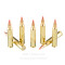 Image of Fiocchi 204 Ruger Ammo - 50 Rounds of 32 Grain V-MAX Ammunition