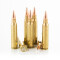 Image of Black Hills Ammunition 223 Ammo - 50 Rounds of 75 Grain HP Ammunition